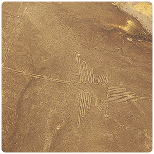 The Hummingbird - Nazca Lines