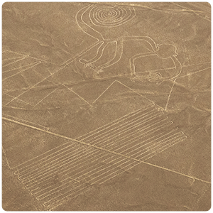 The Monkey - Nazca Lines