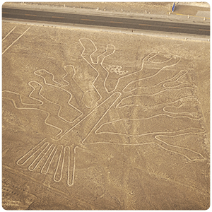 The Three - Nazca Lines