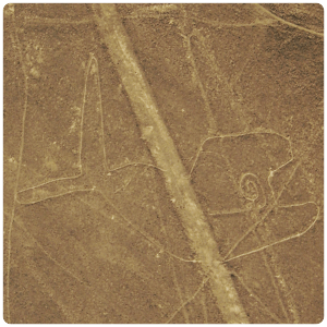 The Whale - Nazca Lines