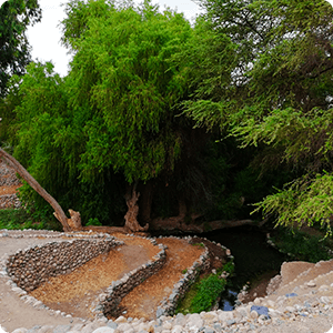 Tour to the Aqueducts of Ocongalla in Nazca