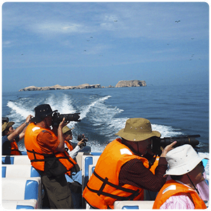 Ballestas Islands - Paracas Peru