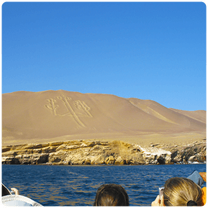 Candelabra - Paracas Reserve