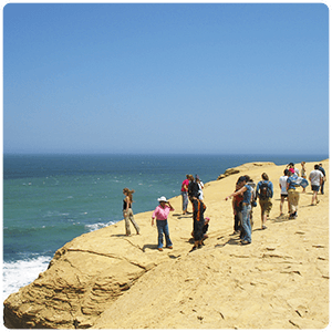 Pacific Ocean View - Paracas Bay