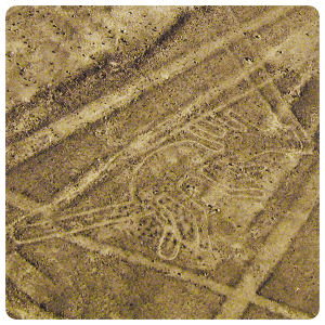 Palpa Geoglyph of a dog.