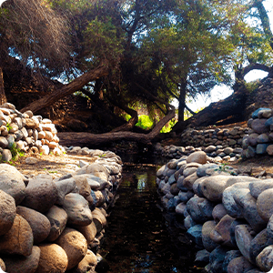 Tour to the Channels of Ocongalla