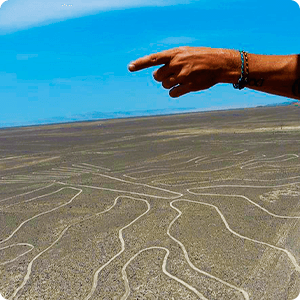 The Tree figure at the Nazca desert.