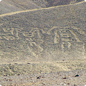 Women drawings in Palpa Desert.