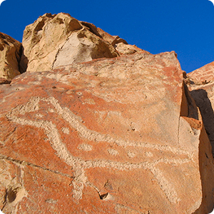 Fox petroglyph in Chicchitara