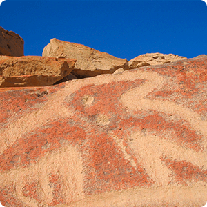 Condor Petroglyph on the hills of Chicchitara.