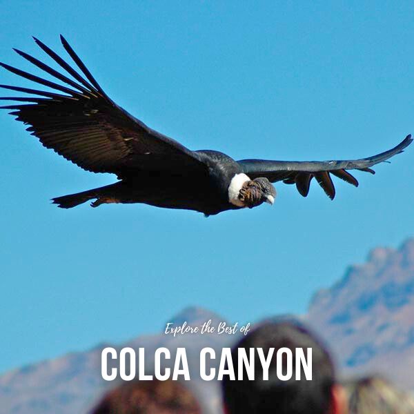 Colca Canyon Tour in Arequipa.