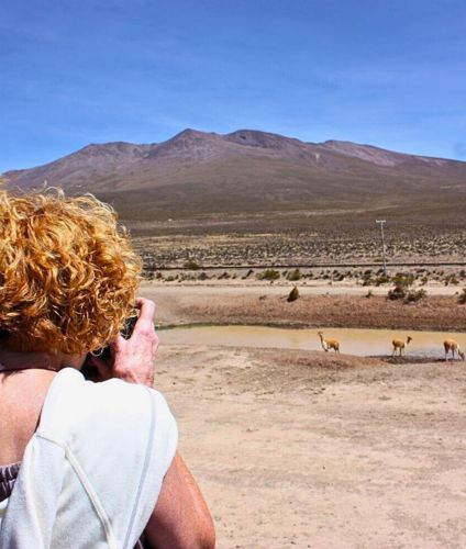 Tour to the Colca Canyon.