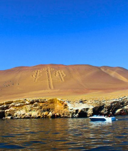 Visiting the Paracas Reserve.