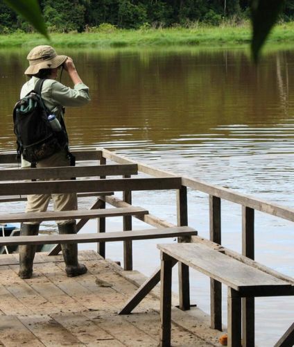 Tour at the Tambopata Oxbow