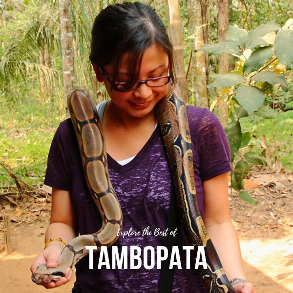 Tambopata Reserve