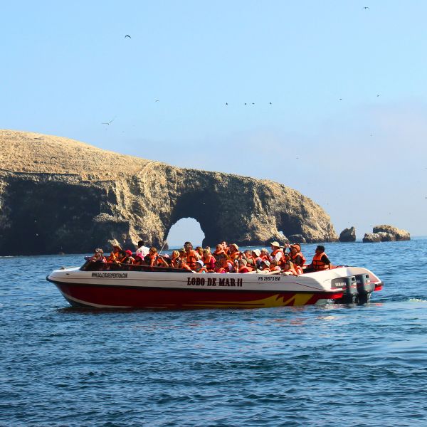Boat Service in Paracas.