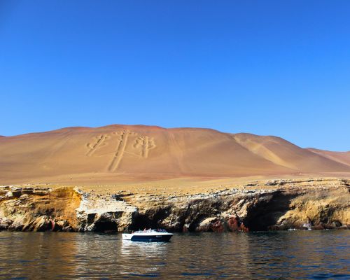 Private full-day tour from Lima to Paracas Bay.