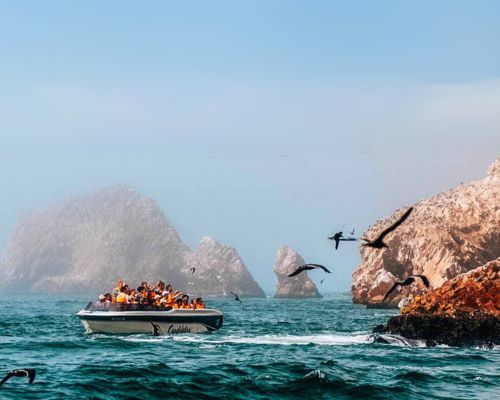 Visit the stunning Ballestas Islands from Lima.