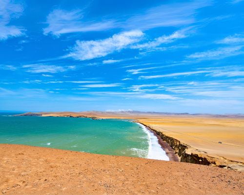 Discover Paracas on a day trip from Lima.
