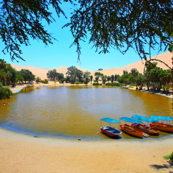Tour to the Lagoon of Huacachina.