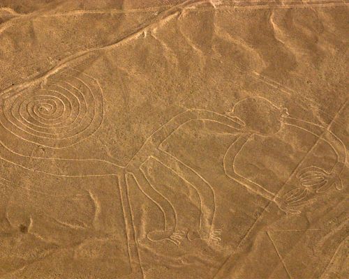 Admire the Monkey geoglyph on the Nazca Lines tour.