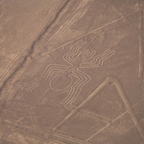 Spider Geoglyphs on the Nazca Desert.
