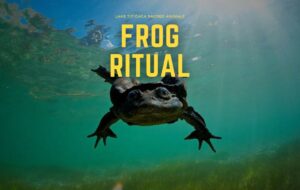 Frog Ritual Blog