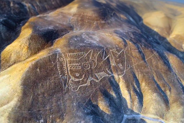 The Paracas Killer Whale geoglyph etched into the desert hillside near Palpa, Peru.