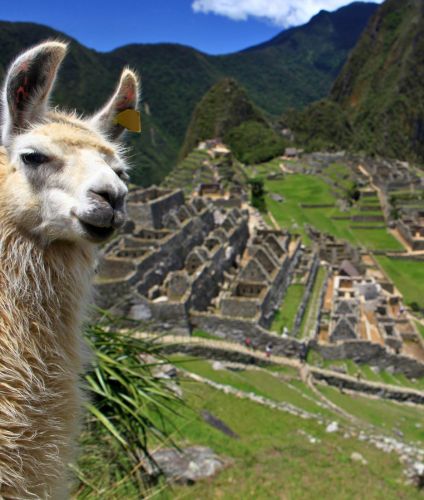 Visit to the Sanctuary of Machu Picchu.