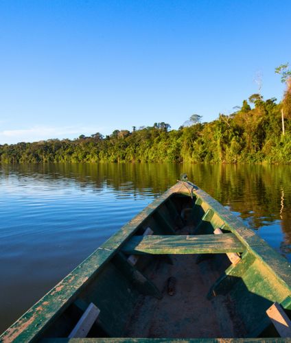 Visiting the Jungle in Tambopata.