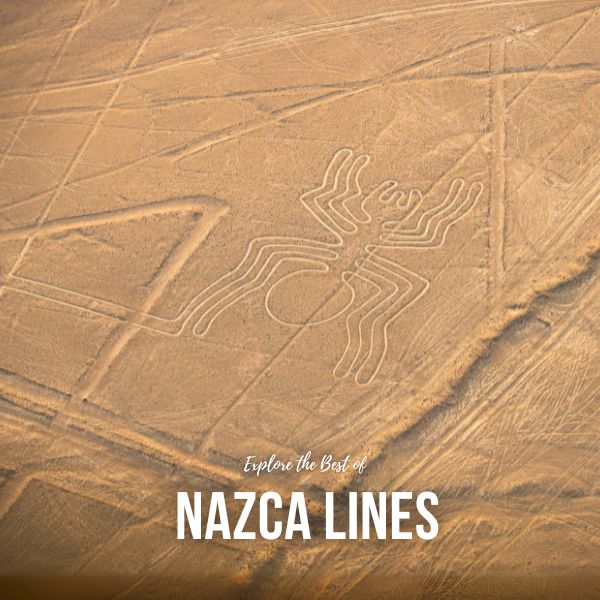 Flight over the Nazca Lines.
