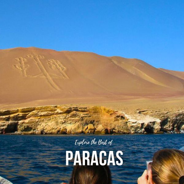 Tour to the Paracas Reserve.