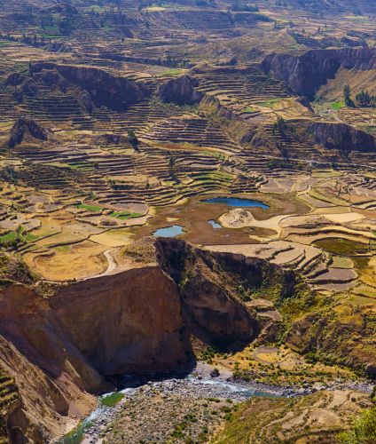Excursion to the Colca Canyon.