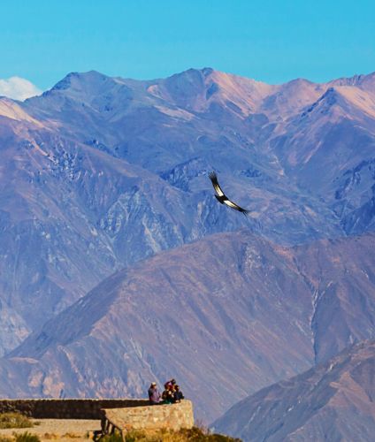 Visiting the Cruz del Sur of the Condors at the Colca Canyon.