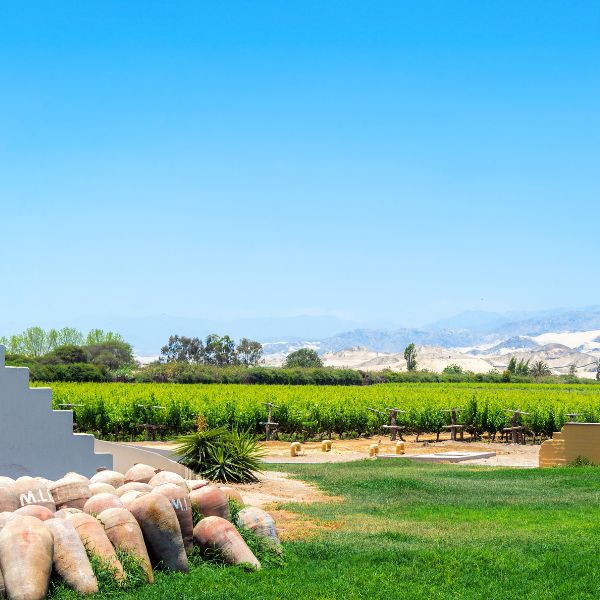 Visit to the Hacienda La Caravedo in the Valley of Ica.