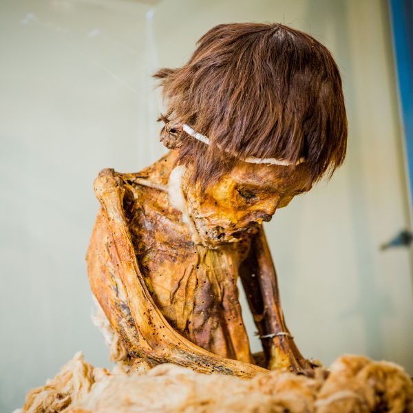 Ancient mummy of a boy in the Ica Museum during our tour.