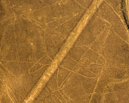 The Whale geoglyph seen from the Nazca Lines flight tour.