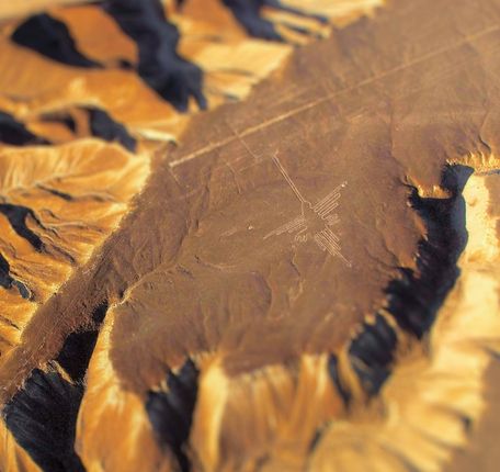 The famous hummingbird geoglyph seen from the Nazca Lines flight.