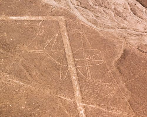 The Whale geoglyph seen from the air