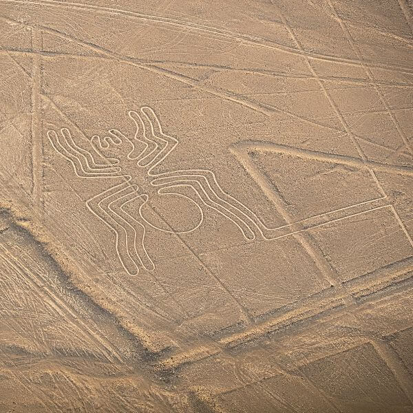 The Nazca Lines Spider geoglyph seen during an overflight tour from Pisco