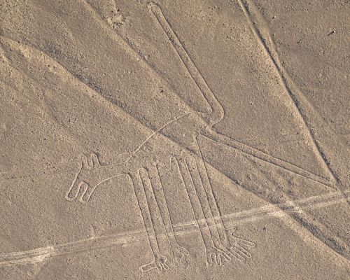 The Nazca Hummingbird geoglyph from above