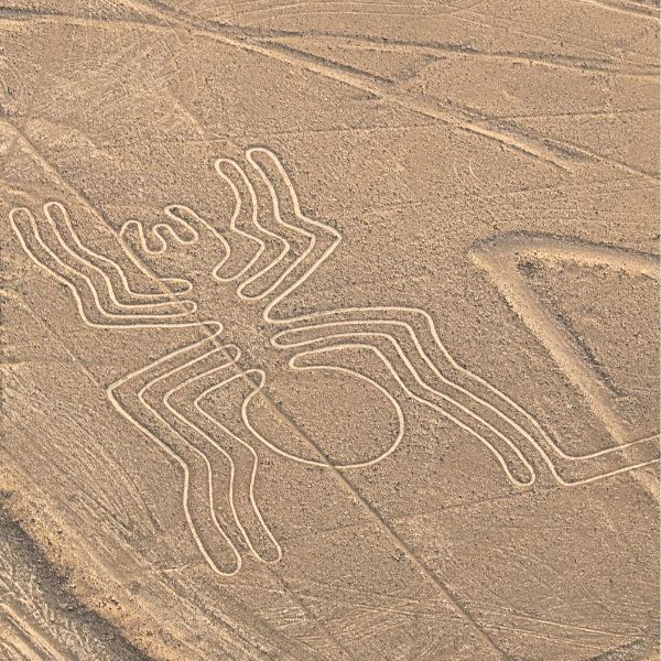 The Spider geoglyph, part of the Nazca Lines, captured from the air.