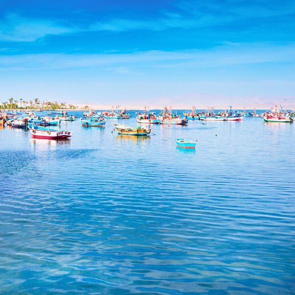 Paracas harbor at the end of the Nazca Lines Full Day Trip