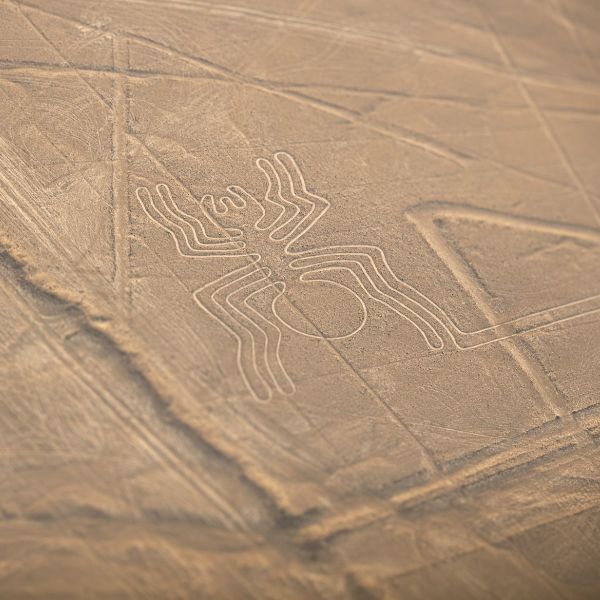 Iconic Nazca Lines spider geoglyph carved into the desert.