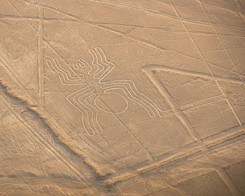 The Spider figure seen from the air during the Nazca Lines Full Day Trip