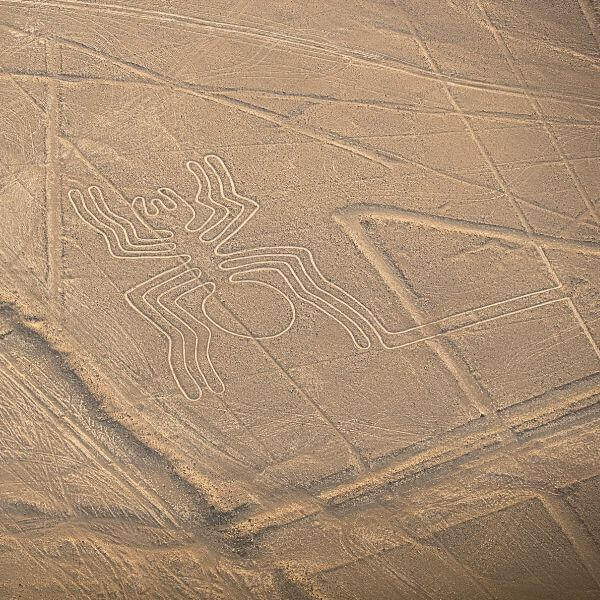 The famous Spider geoglyph captured during a Nazca Lines Private Flight