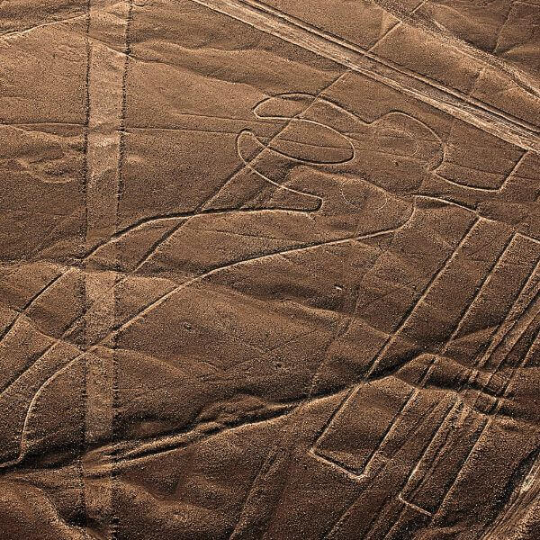 Hummingbird geoglyph viewed from the sky during a Nazca Lines Private Flight