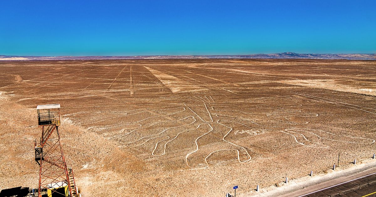 No plane? No problem! Our Nazca Lines Tour by Land delivers unforgettable views from towers and hilltops.