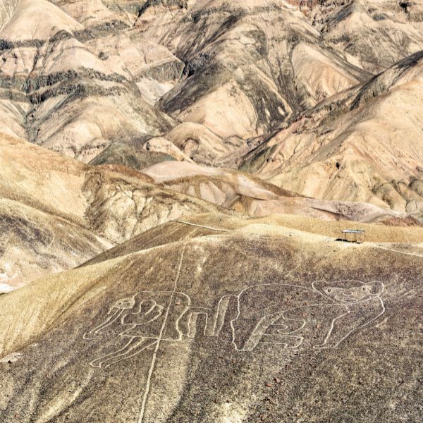 Geoglyphs of animals etched on a Palpa hillside, surrounded by rugged mountains
