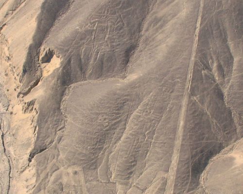 The Paracas Family Geoglyphs